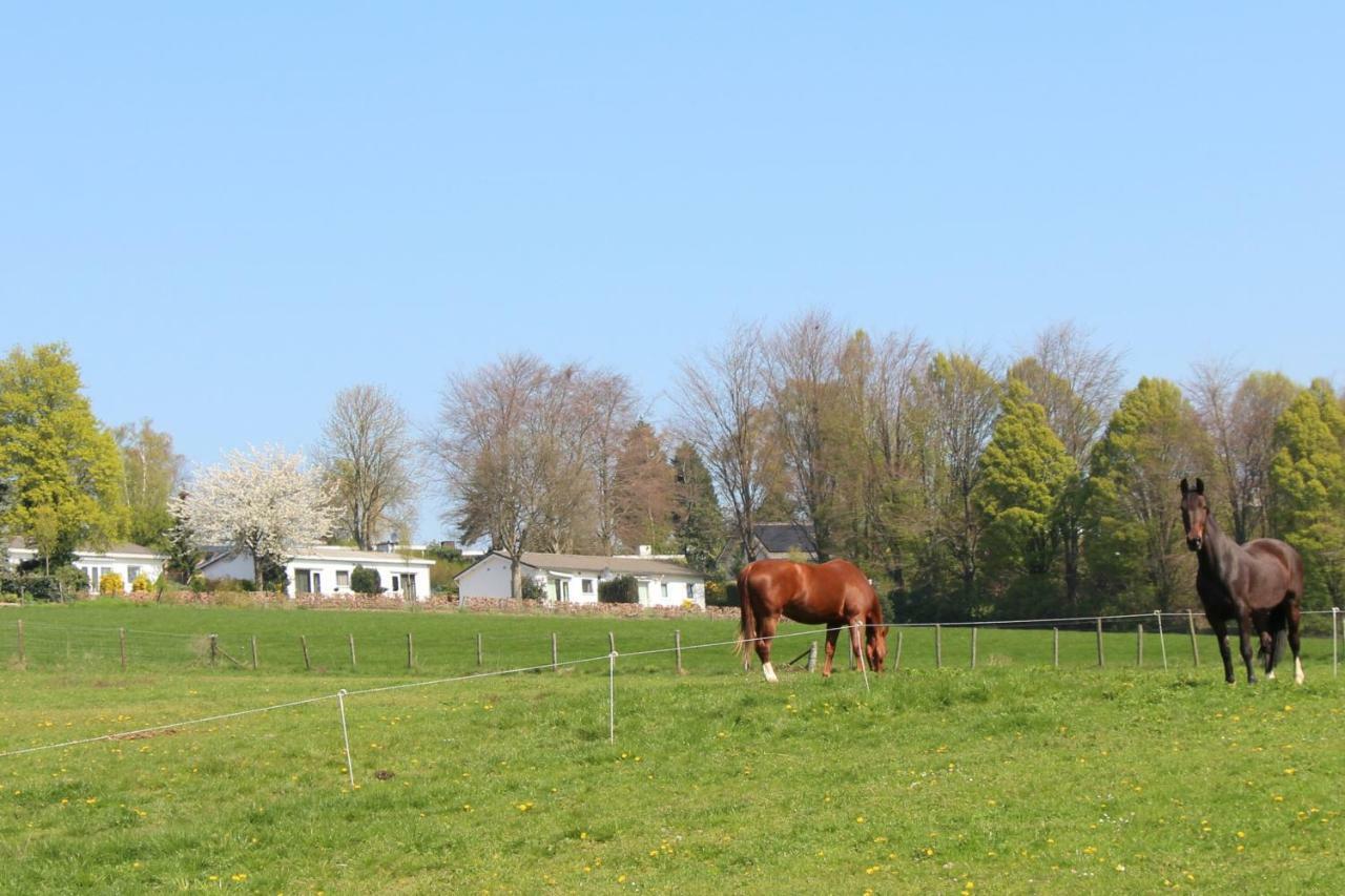 Domein Hellebeuk Met Uitzicht! Valkenburg/Klimmen מראה חיצוני תמונה